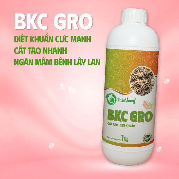 BKC GRO - Diệt khuẩn cực mạnh, cắt tảo nhanh