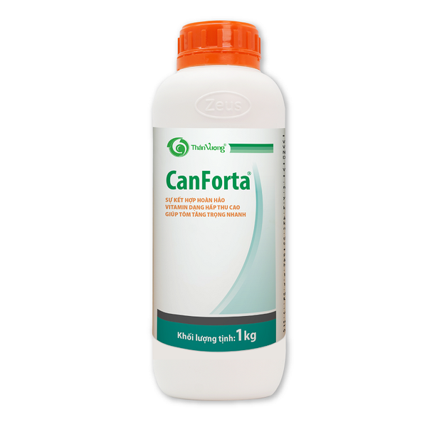 CANFORTA - Sự kết hợp hoàn hảo vitamin dạng hấp thu cao giúp tôm tăng trọng nhanh