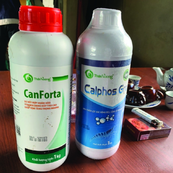 CANFORTA - Dinh dưỡng siêu tăng trọng tôm