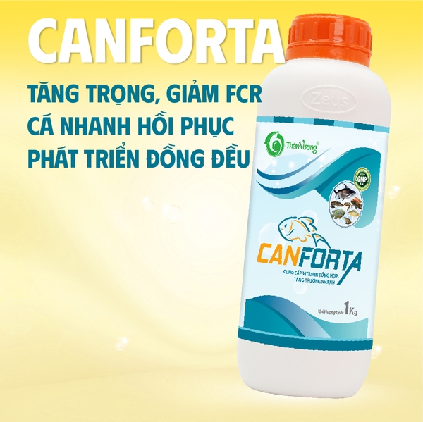 CANFORTA - Cung cấp vitamin và acid amin