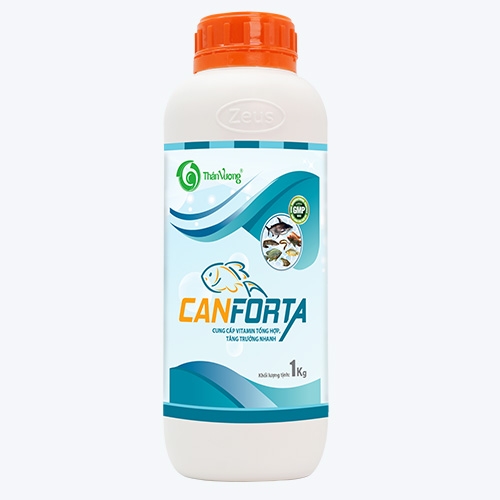 CANFORTA - Cung cấp vitamin và acid amin