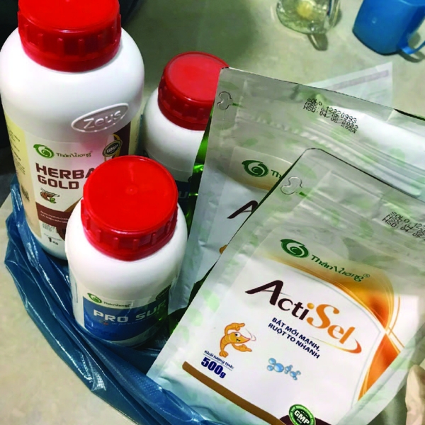 ACTISEL - Nấm men sống giúp tăng sức khỏe đường ruột và tăng cường miễn dịch