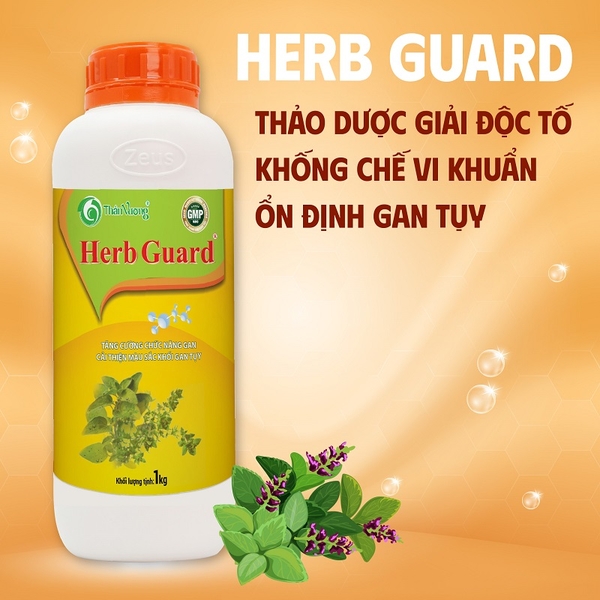 HERB GUARD - Tăng cường chức năng gan, cải thiện màu sắc khối gan tụy