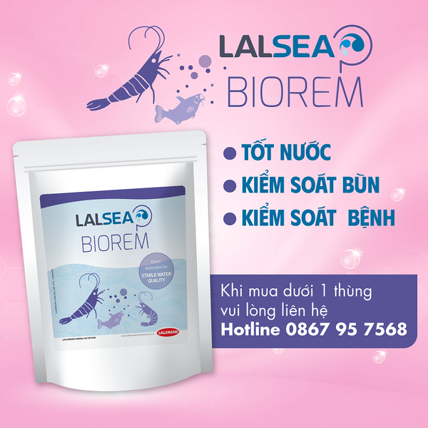 LALSEA BIOREM - Vi sinh xử lý nước ao nuôi thủy sản