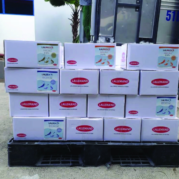 LALPACK IMMUNE - Điều tiết miễn dịch và tăng sức đề kháng tôm