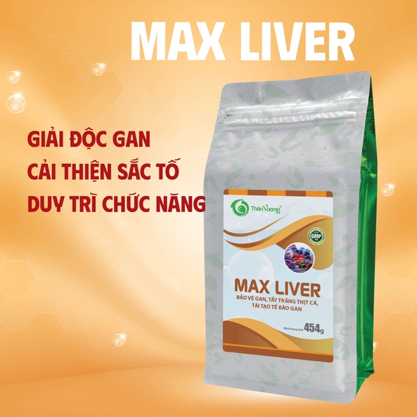 MAX LIVER - Giải độc gan, duy trì chức năng gan