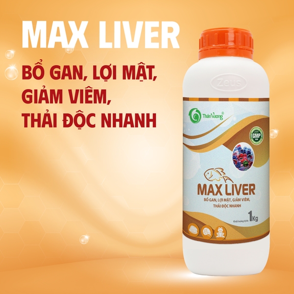 MAX LIVER - Bổ gan, lợi mật, giảm viêm, thải độc nhanh