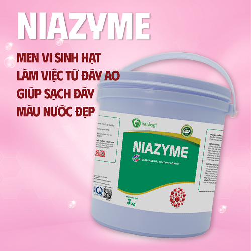 Vi sinh dạng hạt xử lý đáy ao nuôi thủy sản NIAZYME