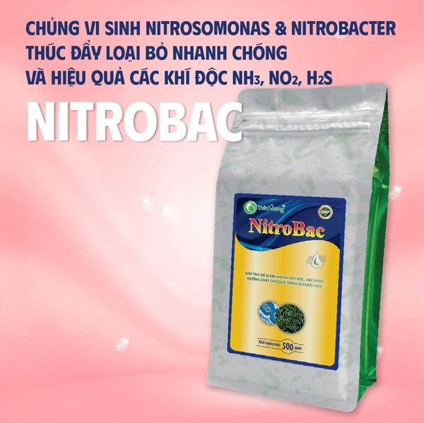 NITROBAC - Hấp thụ khí độc ao nuôi tôm cá