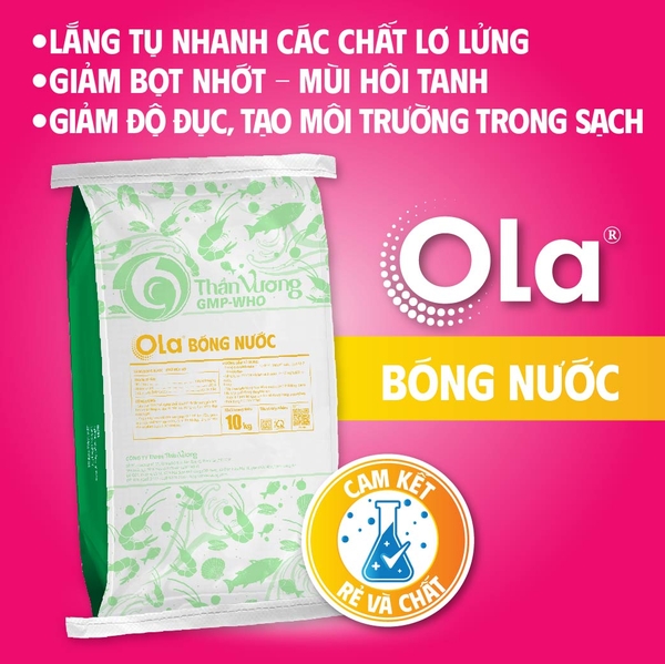 OLA BÓNG NƯỚC: Lắng tụ nhanh các chất lơ lửng, giảm bọt nhớt, sáng bóng nước, giảm mùi hôi