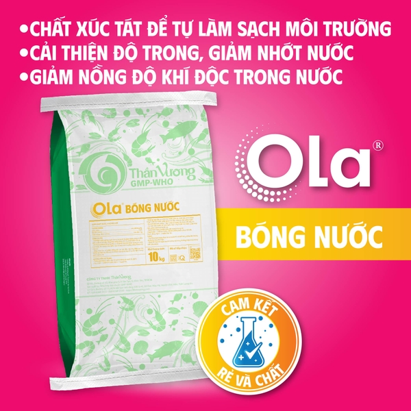 OLA BÓNG NƯỚC: Giảm nhớt nước, khử mùi hôi