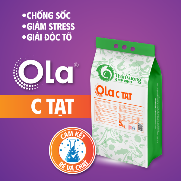 OLA C TẠT - Chống sốc môi trường, giảm stress, ổn định sức khỏe tôm