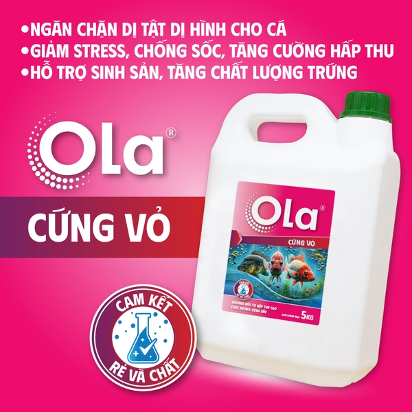 OLA CỨNG VỎ: Khoáng hữu cơ hấp thu cao, chắc xương, cứng vảy