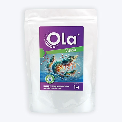 OLA VIBRIO: Loại bỏ vi khuẩn Vibrio hiệu quả, an toàn cho tôm nuôi