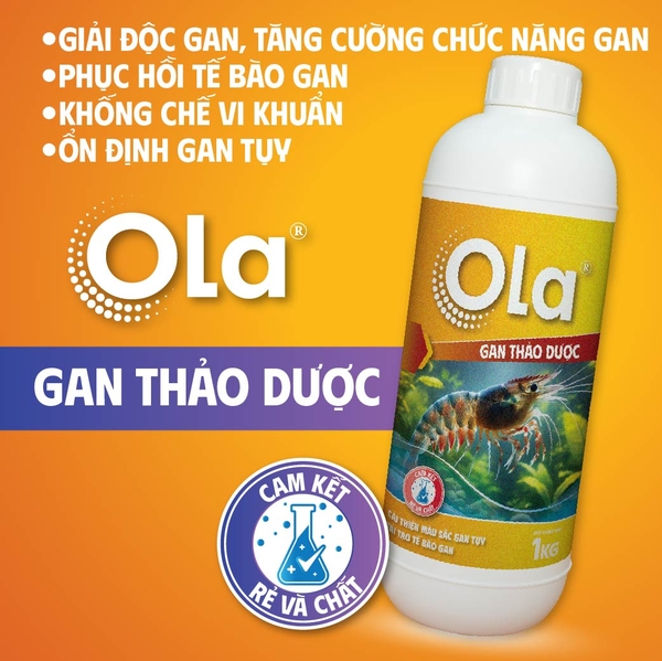 OLA GAN THẢO DƯỢC: Giải độc gan, tăng cường chức năng gan, phục hồi tế bào gan, ổn định gan tụy