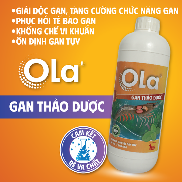OLA GAN THẢO DƯỢC: Giải độc gan, tăng cường chức năng gan, phục hồi tế bào gan, ổn định gan tụy