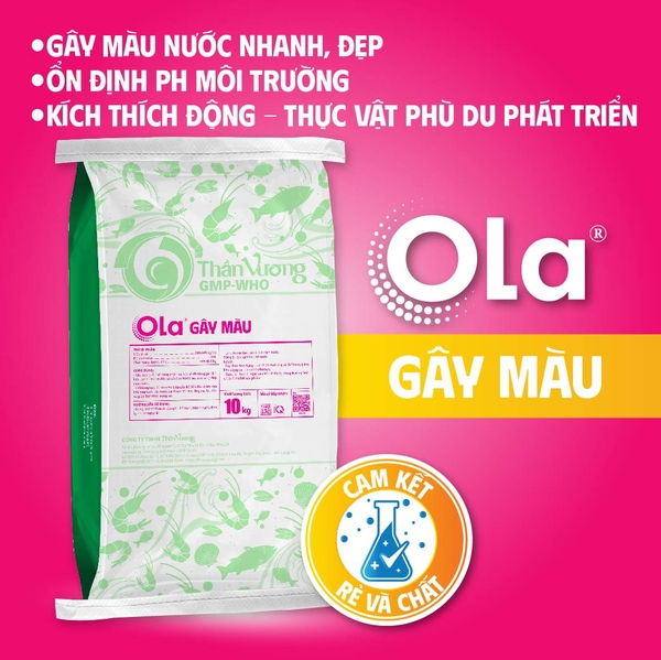 OLA GÂY MÀU - Gây màu nước nhanh, đẹp, ổn định pH môi trường