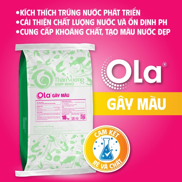OLA GÂY MÀU: Gây màu nước, kích thích phát triển thức ăn tự nhiên