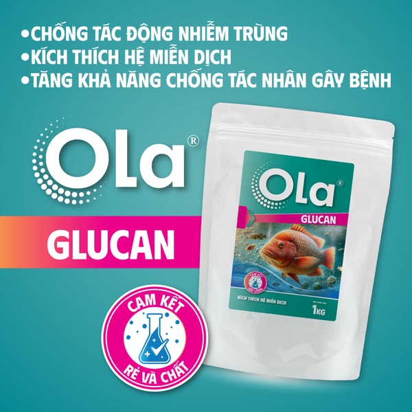 OLA GLUCAN: Kích thích hệ miễn dịch