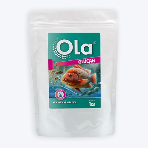 OLA GLUCAN: Kích thích hệ miễn dịch