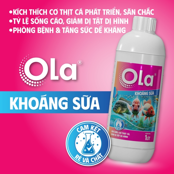 OLA KHOÁNG SỮA: Chắc khỏe cơ, hấp thu nhanh