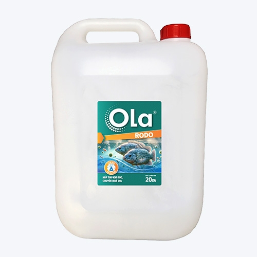 OLA RODO: Hấp thu khí độc, chuyển hóa CO2