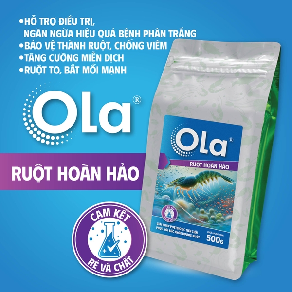 OLA RUỘT HOÀN HẢO - Giải pháp Posbiotic cho sức khỏe đường ruột