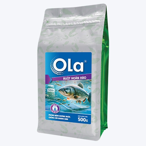 OLA RUỘT HOÀN HẢO: Bảo vệ ruột, chống lờn kháng sinh