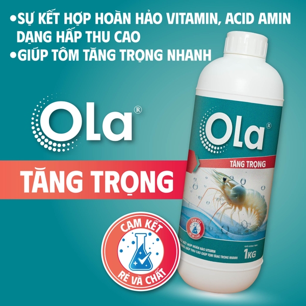 OLA TĂNG TRỌNG: Vitamin đậm đặc, lớn nhanh, xuống size nhanh
