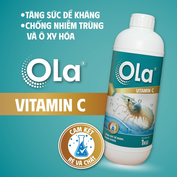 OLA VITAMIN C - Tăng sức đề kháng, chống sốc, chống stress cho tôm