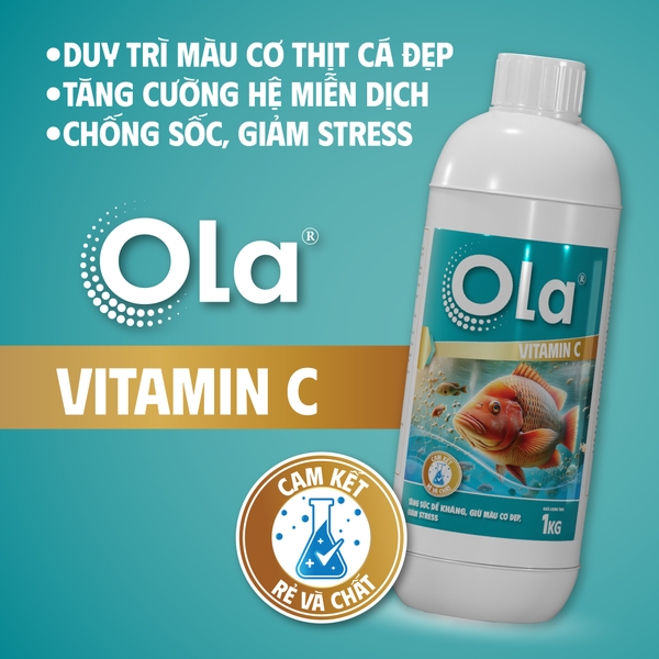 OLA VITAMIN C: Tăng sức đề kháng, giữ màu cơ đẹp, giảm stress