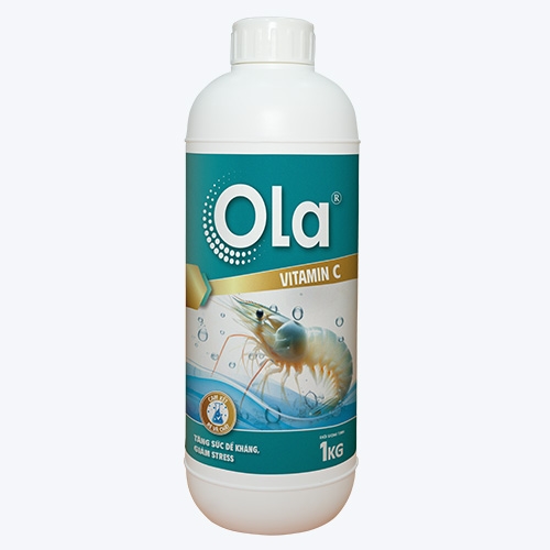 OLA VITAMIN C - Tăng sức đề kháng, chống sốc, chống stress cho tôm