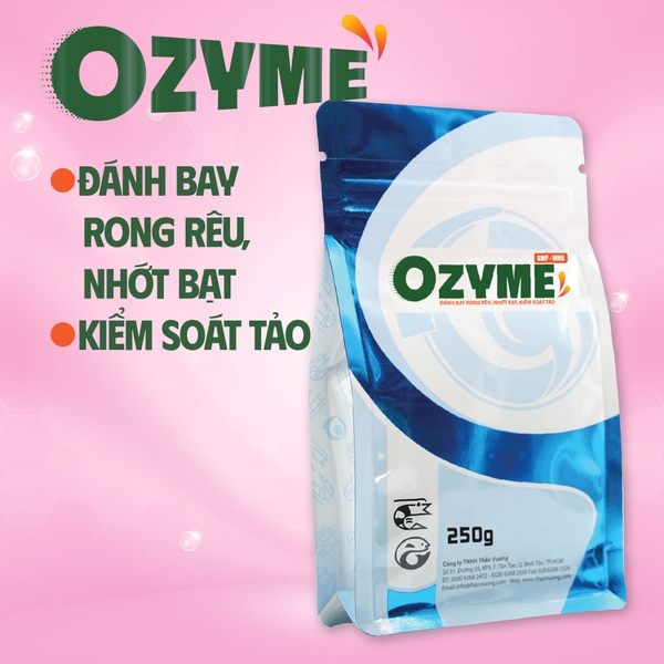 OZYME - Đánh bay rong rêu, nhớt bạt, kiểm soát tảo