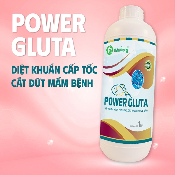 POWER GLUTA - Diệt khuẩn phổ rộng, nấm, ký sinh trùng