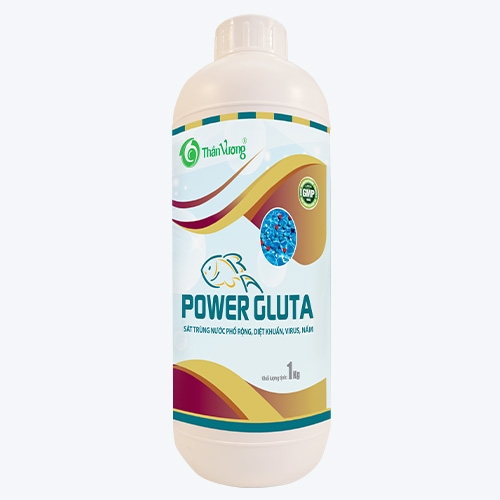 POWER GLUTA - Diệt khuẩn phổ rộng, nấm, ký sinh trùng