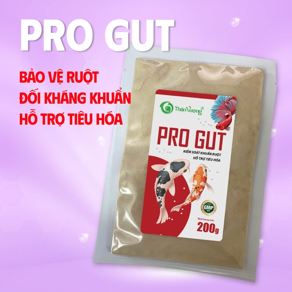 PRO GUT - Kiểm soát khuẩn ruột, hỗ trợ tiêu hóa cho cá