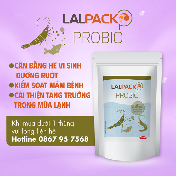 LALPACK PROBIO - Men đường ruột cho tôm cá