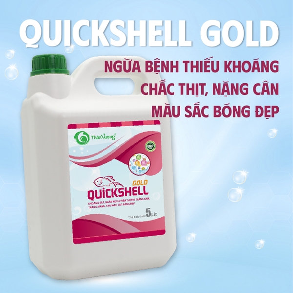 QUICKSHELL GOLD - Khoáng hữu cơ, hấp thu cao, tạo sắc tố cho cá