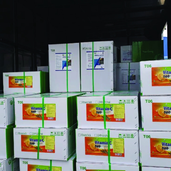 VITAMIN C TẠT - Tăng sức đề kháng
