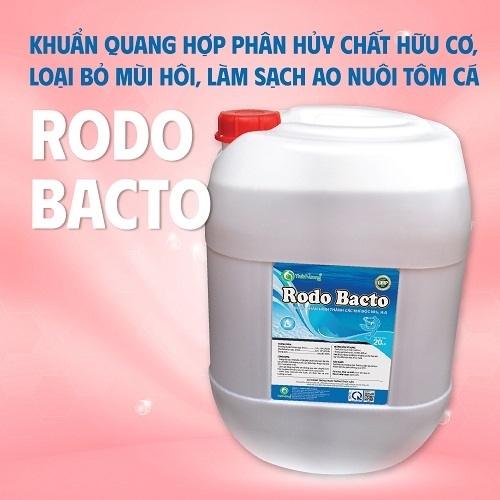 RODO BACTO - Phân hủy hữu cơ ao, khử khí độc H2S
