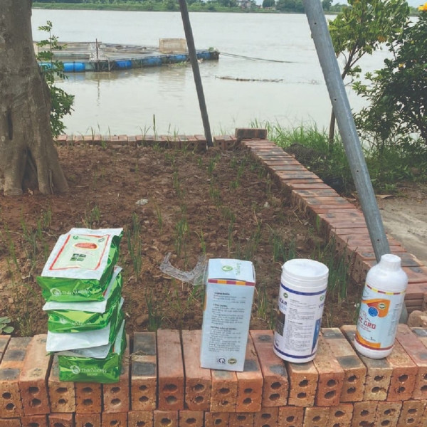 Vi sinh gây màu nước ao nuôi NIAZYME