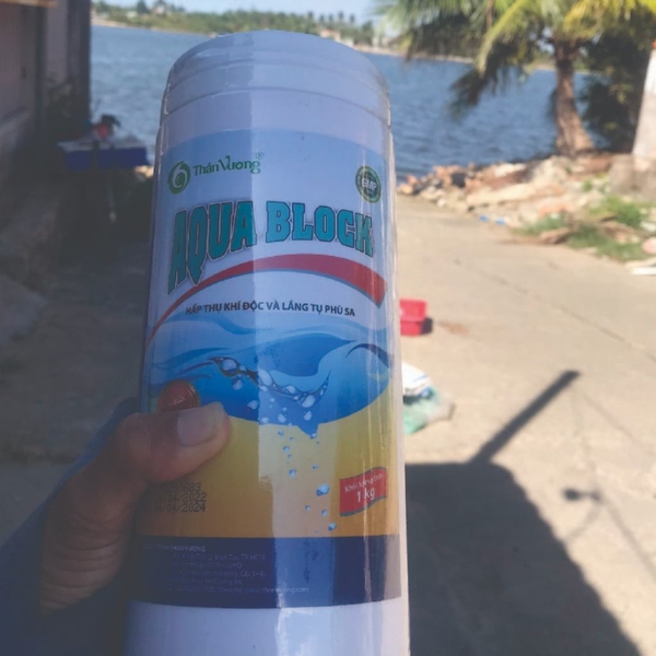 Siêu lắng tụ hữu cơ ao nuôi tôm cá AQUA BLOCK GOLD