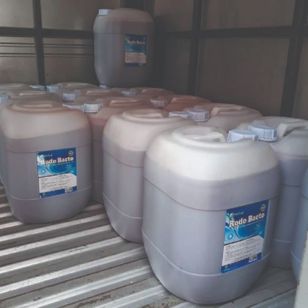 RODO BACTO - Phân hủy hữu cơ ao, khử khí độc H2S