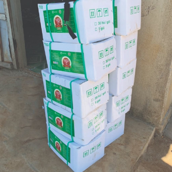 YUCCA C - Hấp thụ khí độc ao tôm