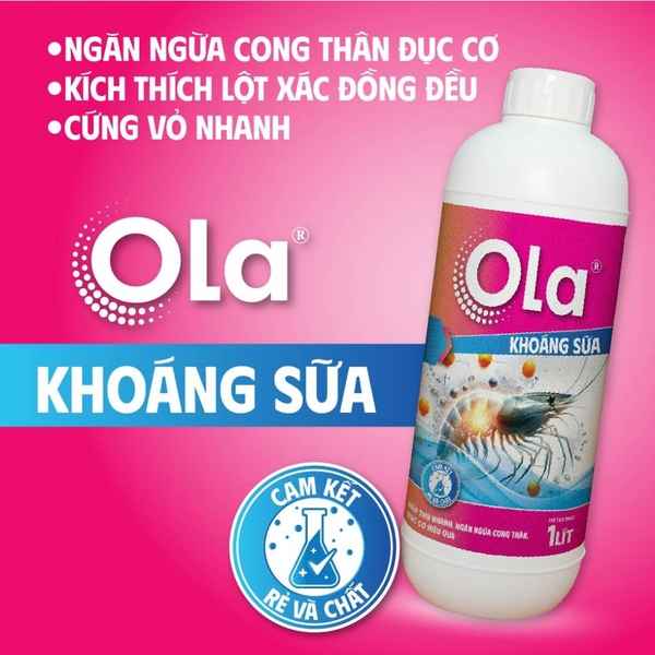 OLA KHOÁNG SỮA - Khoáng hấp thu nhanh, phòng cong thân đục cơ hiệu quả