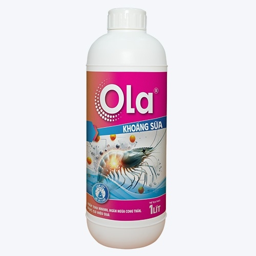 OLA KHOÁNG SỮA - Khoáng hấp thu nhanh, phòng cong thân đục cơ hiệu quả