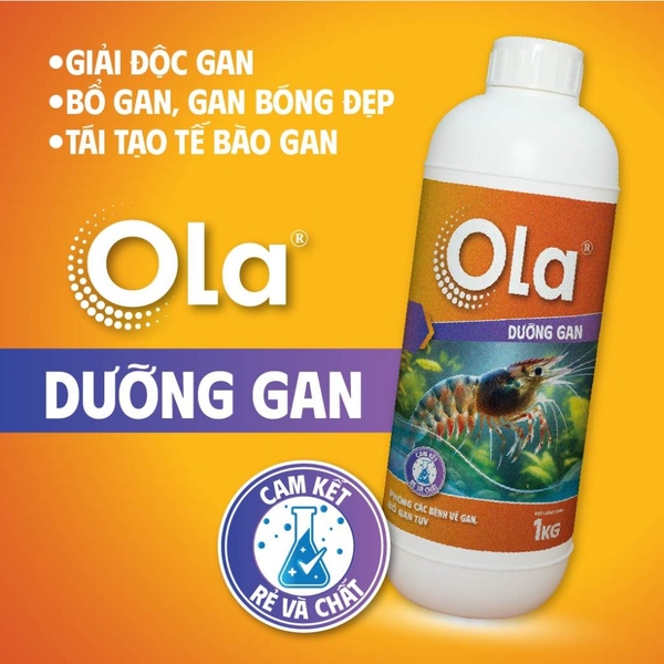 OLA DƯỠNG GAN - Phòng các vấn đề về gan, bổ gan tụy