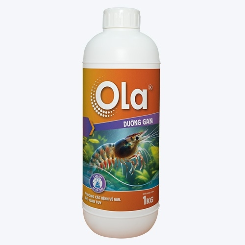 OLA DƯỠNG GAN - Phòng các vấn đề về gan, bổ gan tụy