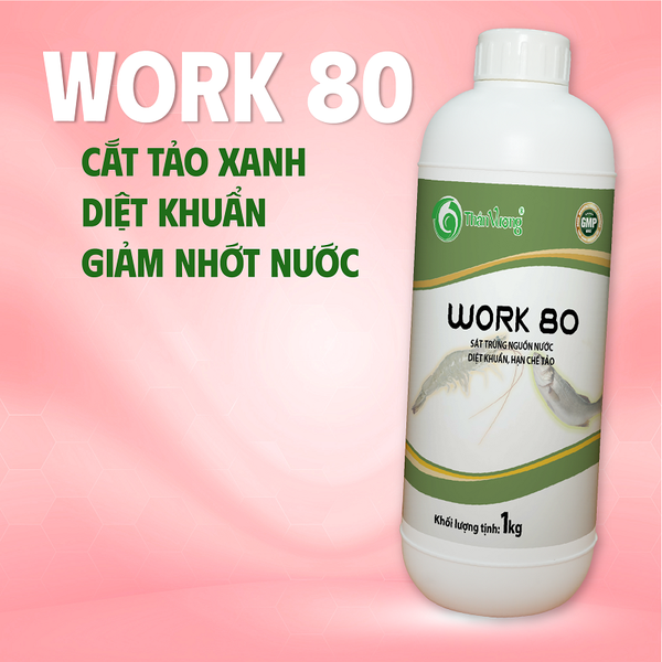 WORK 80 - Sát trùng nguồn nước mạnh, diệt khuẩn, giảm tảo già