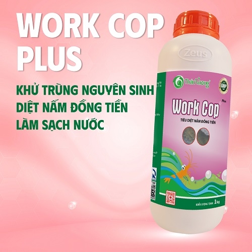 WORK COP PLUS - khống chế nấm đồng tiền
